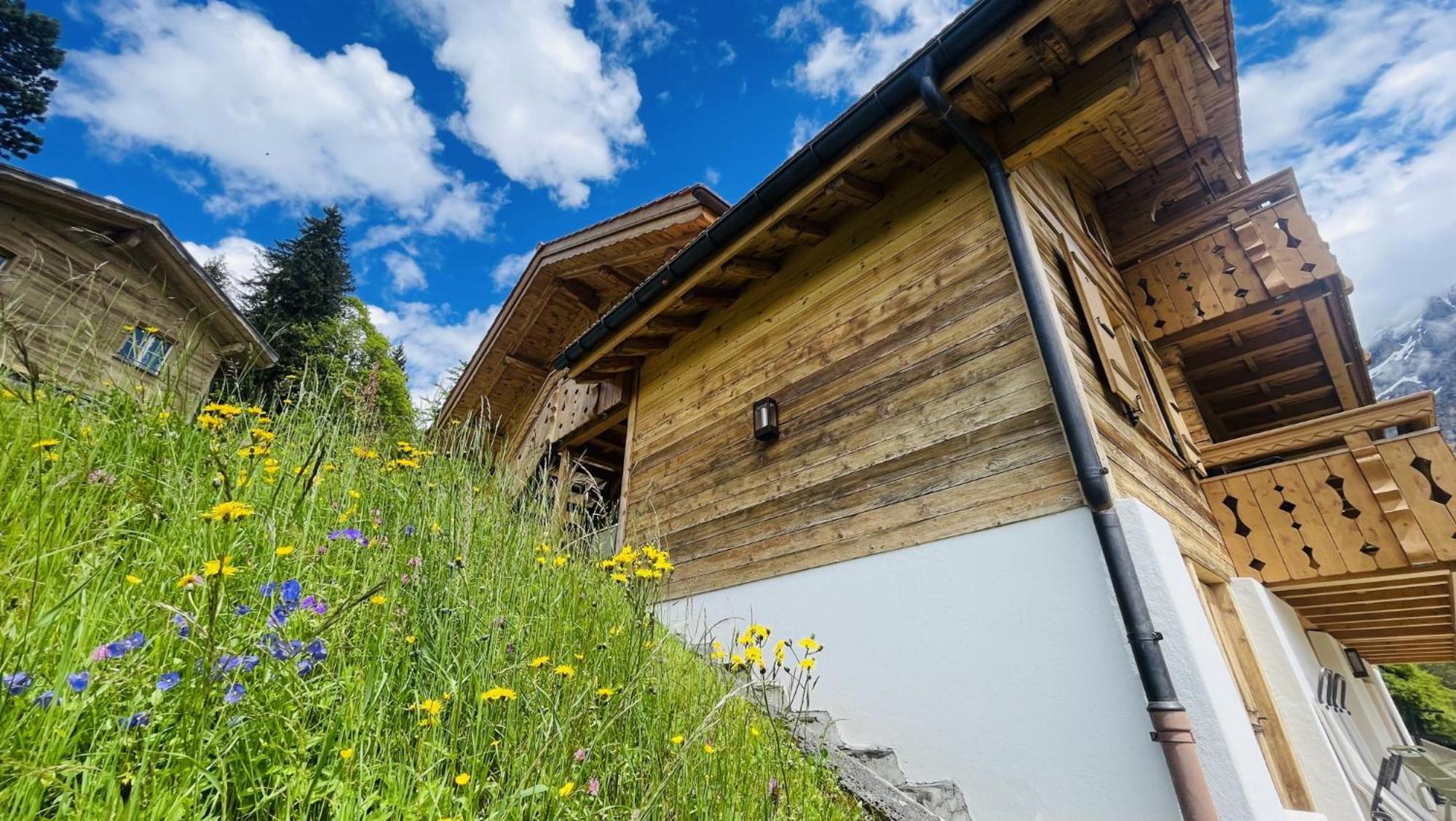 Chalet Caramelle Villa Grindelwald Exterior photo